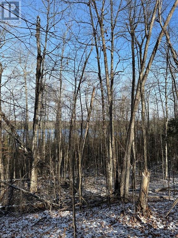 5026b Ardoch Road, Ardoch, Ontario  K0H 1C0 - Photo 28 - 40600876