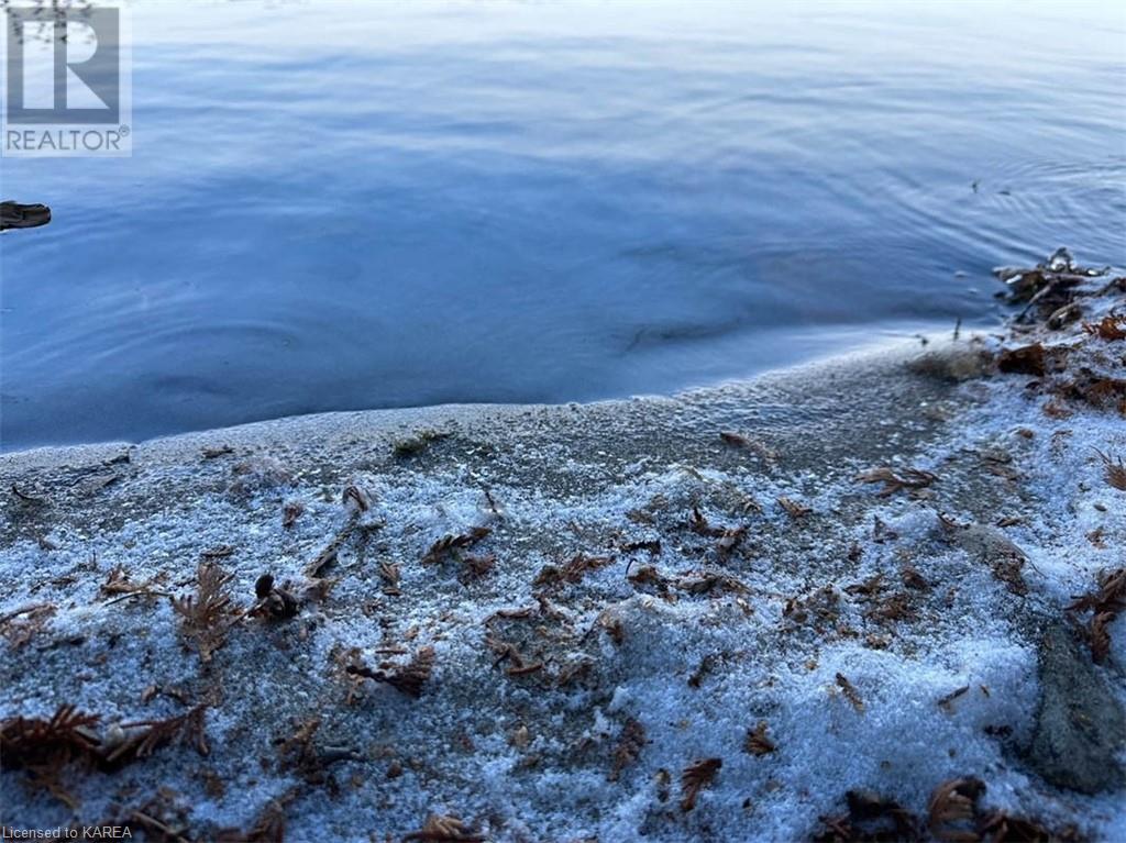 5026b Ardoch Road, Ardoch, Ontario  K0H 1C0 - Photo 29 - 40600876