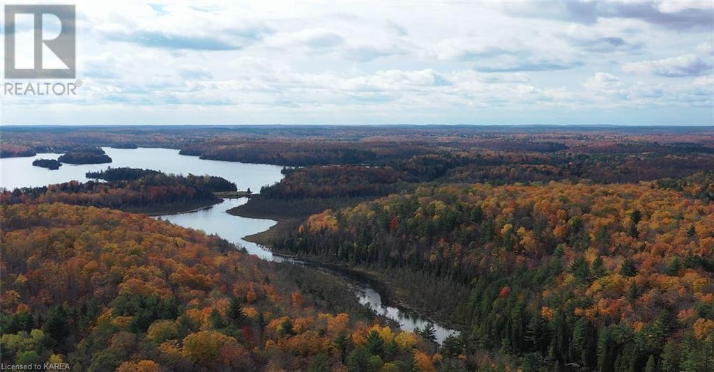 5026b Ardoch Road, Ardoch, Ontario  K0H 1C0 - Photo 7 - 40600876