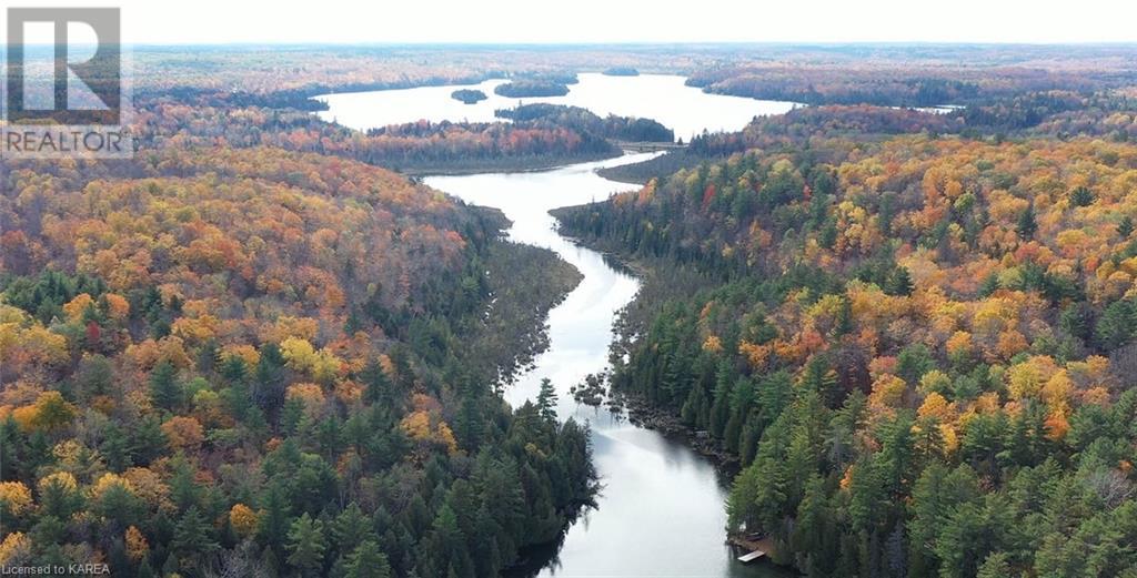 5026b Ardoch Road, Ardoch, Ontario  K0H 1C0 - Photo 9 - 40600876
