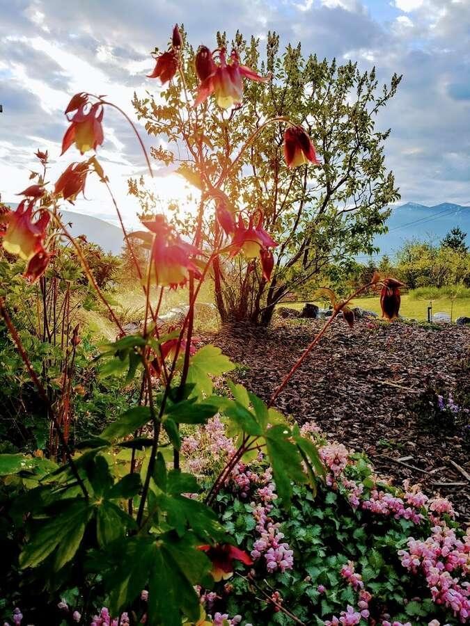 1067 Simmons Road, Creston, British Columbia  V0B 1G7 - Photo 18 - 2477622