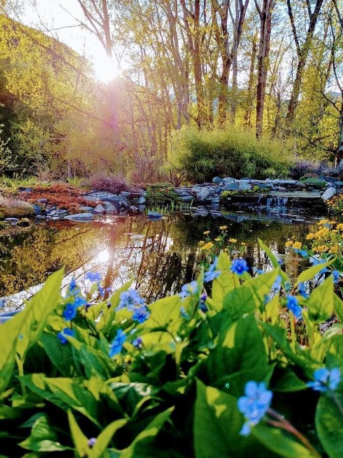 1067 Simmons Road, Creston, British Columbia  V0B 1G7 - Photo 20 - 2477622