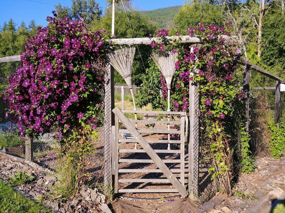 1067 Simmons Road, Creston, British Columbia  V0B 1G7 - Photo 25 - 2477622