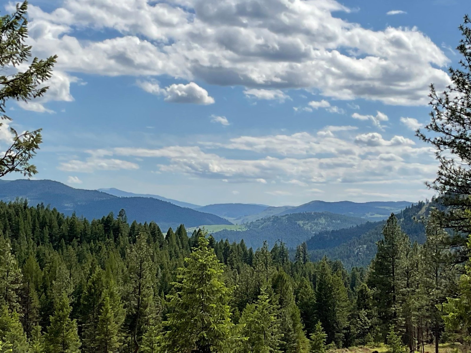 Lot 1 NICHOLSON CREEK RD, rock creek, British Columbia