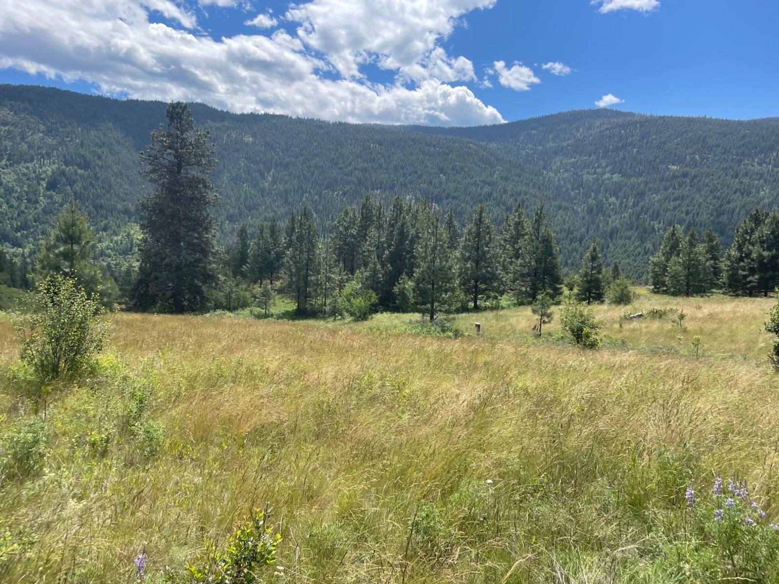 520 Highway 3, Christina Lake, British Columbia  V0H 1E0 - Photo 19 - 2477591