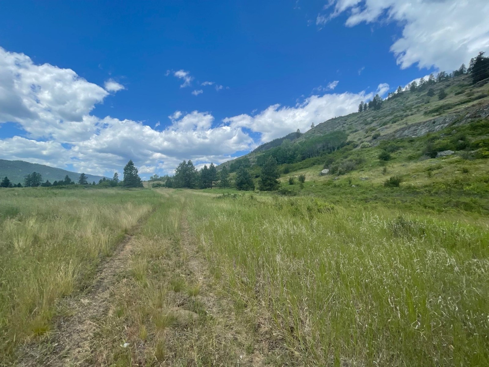 520 Highway 3, Christina Lake, British Columbia  V0H 1E0 - Photo 30 - 2477591