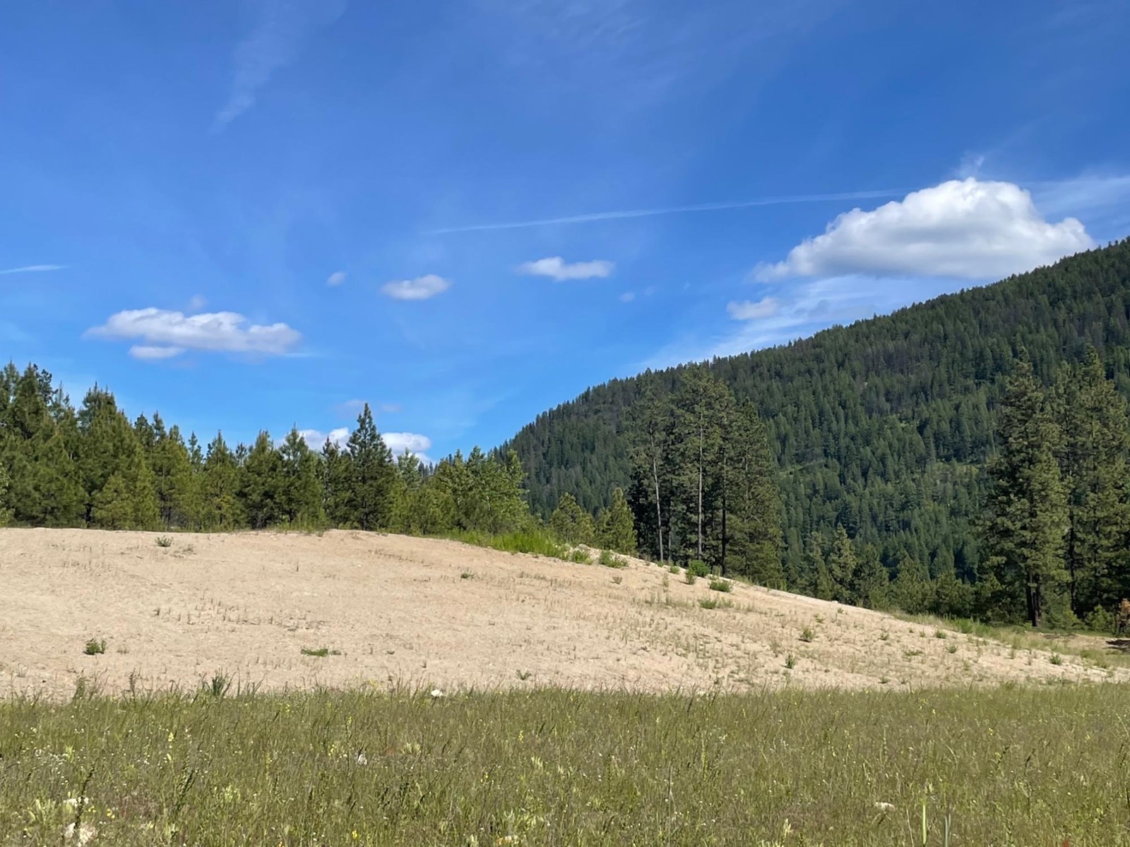 520 Highway 3, Christina Lake, British Columbia  V0H 1E0 - Photo 35 - 2477591