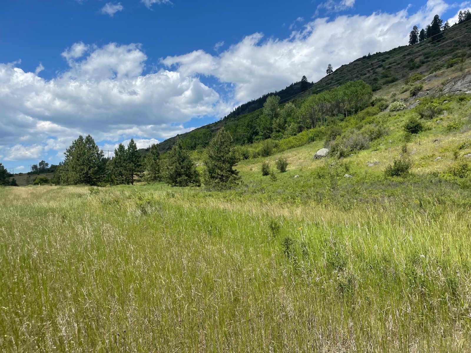 520 Highway 3, Christina Lake, British Columbia  V0H 1E0 - Photo 38 - 2477591