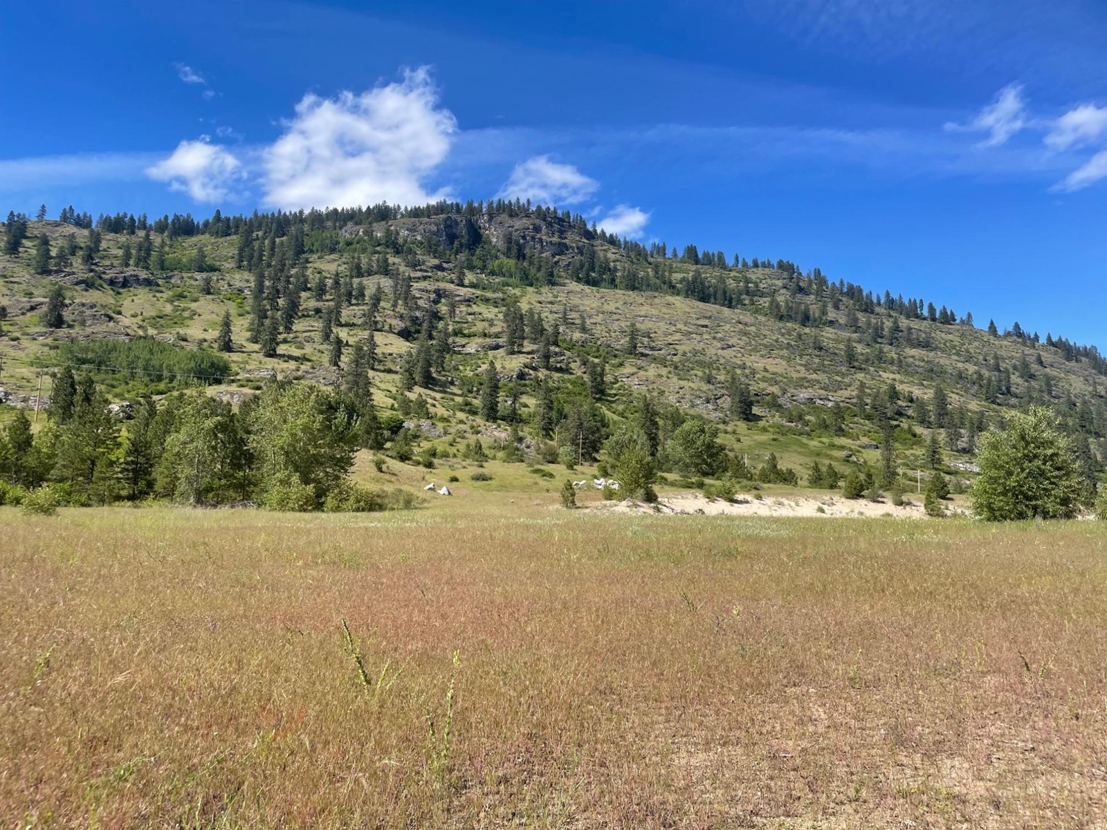 520 Highway 3, Christina Lake, British Columbia  V0H 1E0 - Photo 31 - 2477591