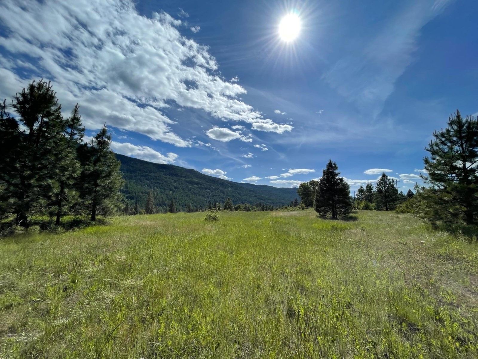 520 Highway 3, Christina Lake, British Columbia  V0H 1E0 - Photo 41 - 2477591