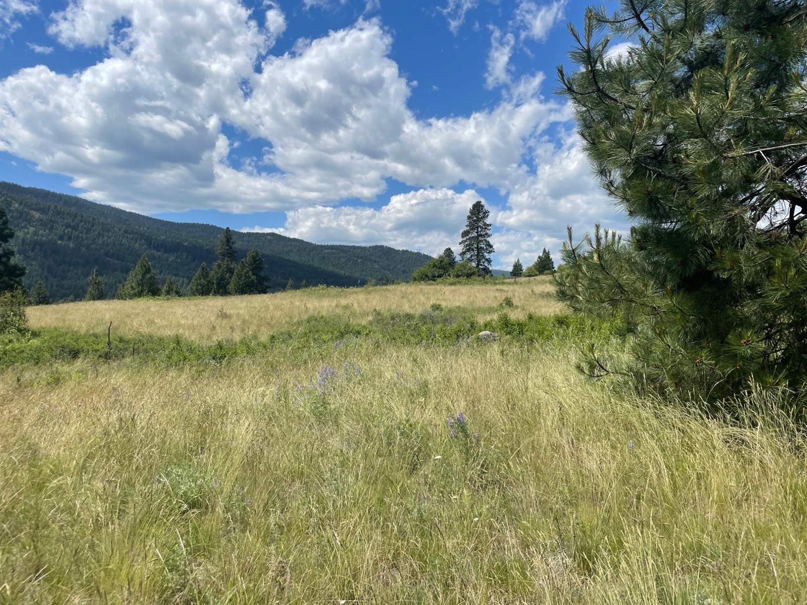 520 Highway 3, Christina Lake, British Columbia  V0H 1E0 - Photo 18 - 2477591