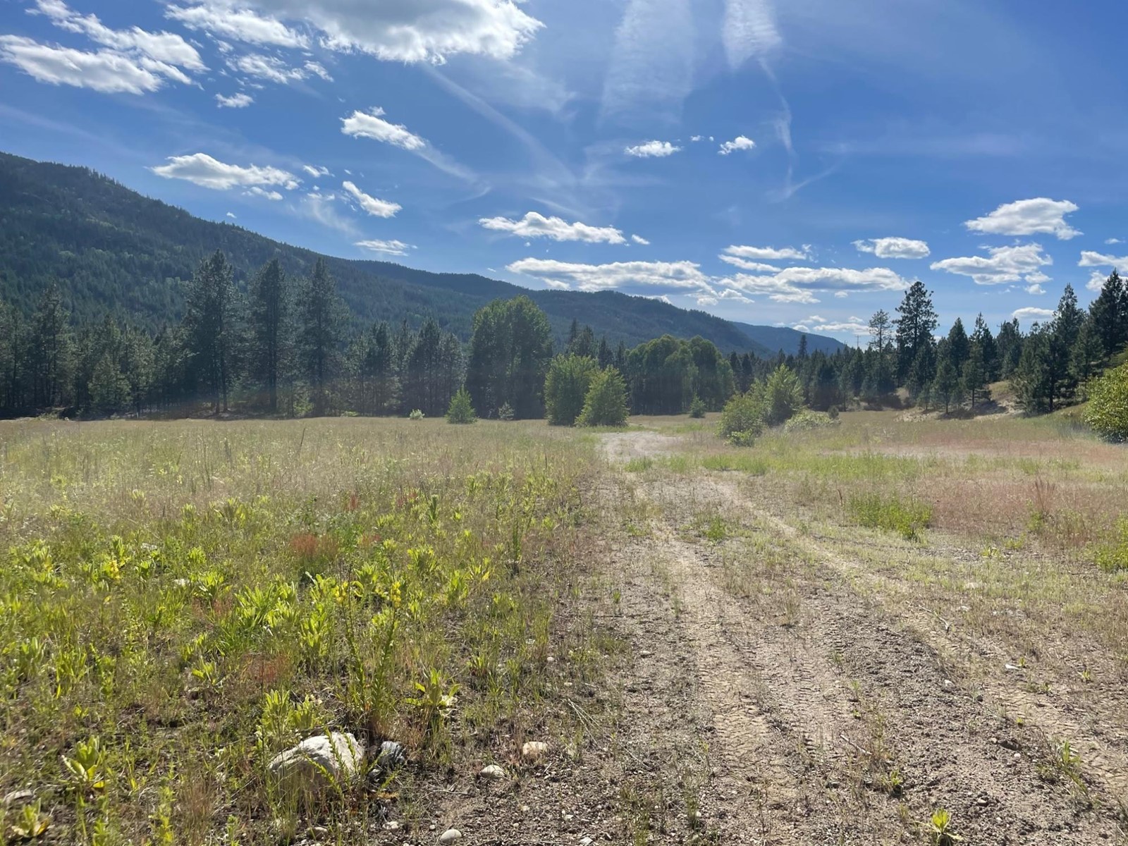 520 Highway 3, Christina Lake, British Columbia  V0H 1E0 - Photo 33 - 2477591