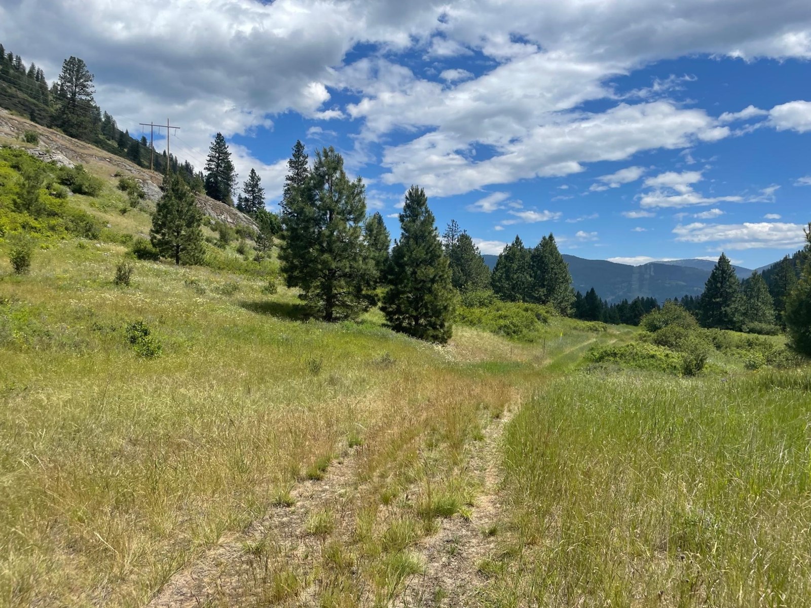 520 Highway 3, Christina Lake, British Columbia  V0H 1E0 - Photo 16 - 2477591