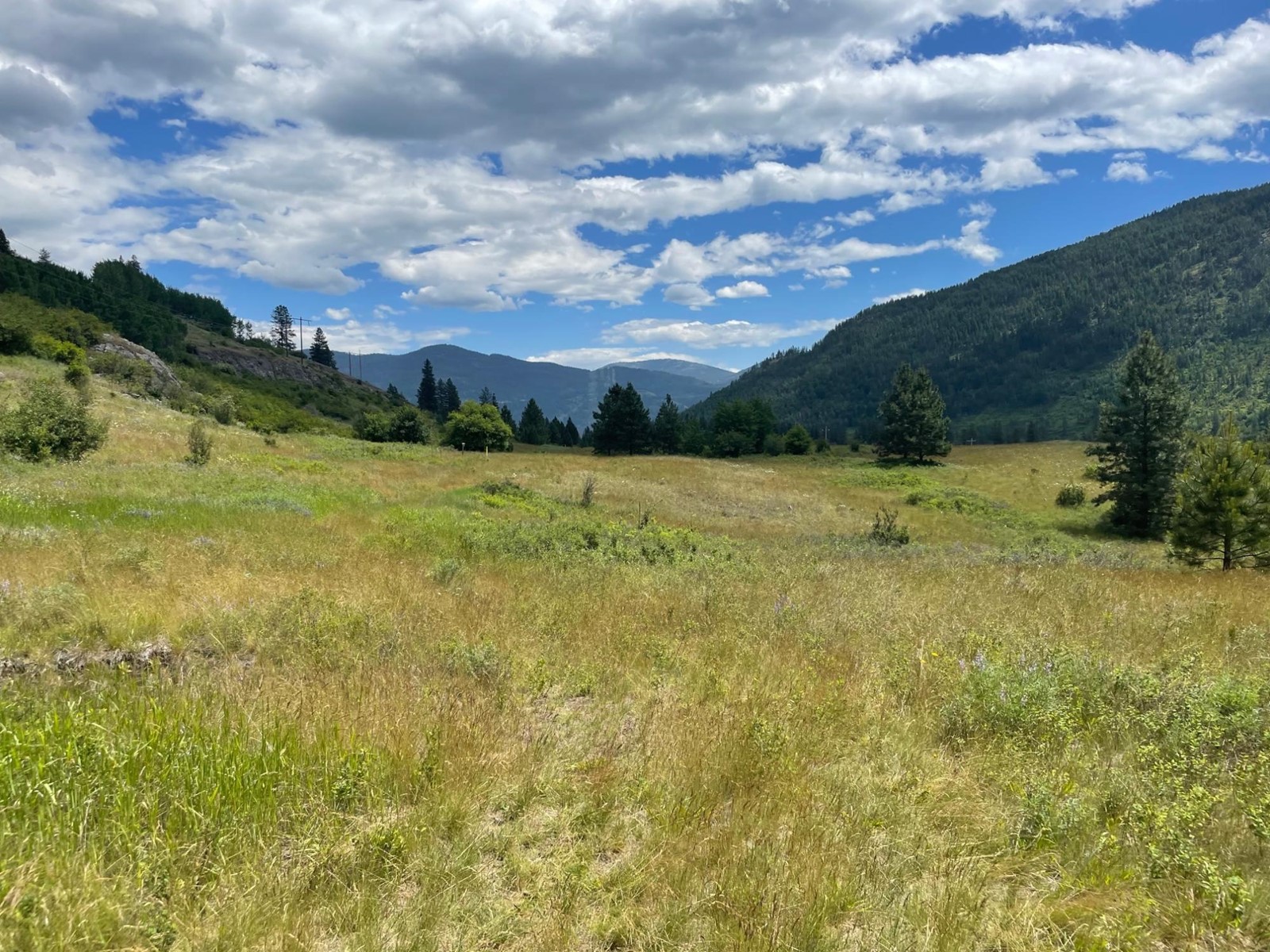 520 Highway 3, Christina Lake, British Columbia  V0H 1E0 - Photo 15 - 2477591