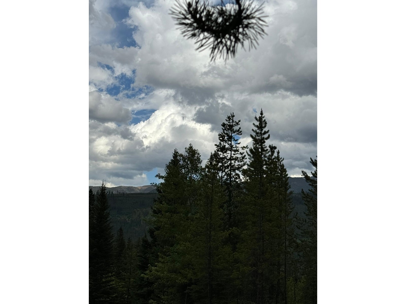 15 DRIFTWOOD PLACE, elkford, British Columbia