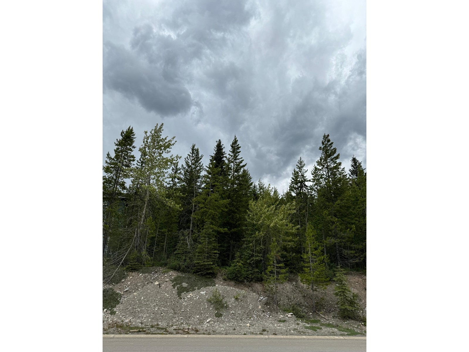 15 Driftwood Place, Elkford, British Columbia  v0b 1h0 - Photo 5 - 2477638