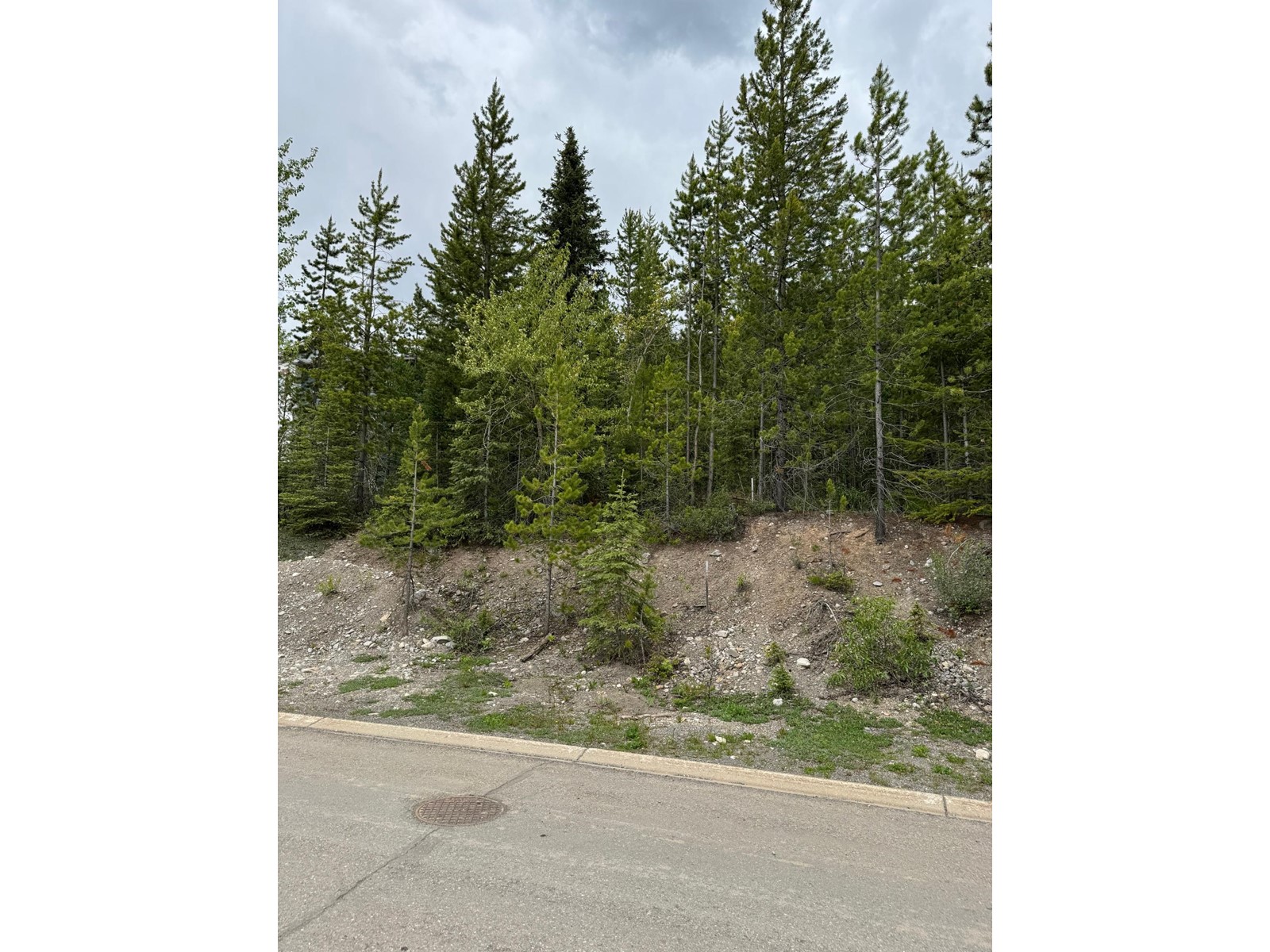 15 Driftwood Place, Elkford, British Columbia  v0b 1h0 - Photo 7 - 2477638