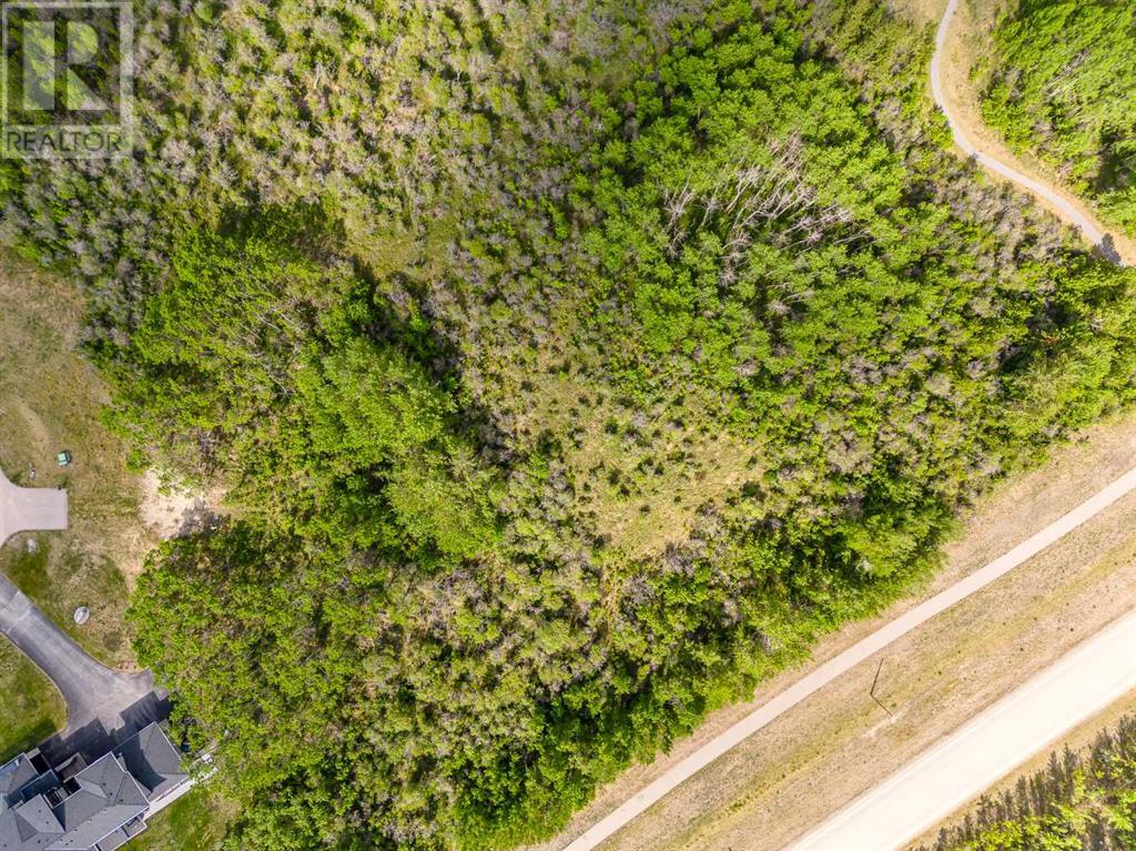 113 Silverhorn Ridge, Rural Rocky View County, Alberta  T3R 0X3 - Photo 29 - A2132069