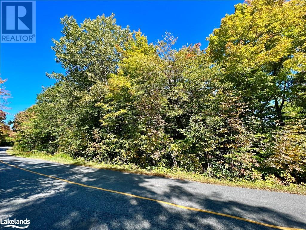 0 Acton Island Road, Muskoka Lakes (Medora), Ontario  P0B 1J0 - Photo 13 - X10438239
