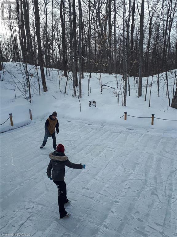 243 Spry Lake Road, Oliphant, Ontario  N0H 2T0 - Photo 45 - 40603633