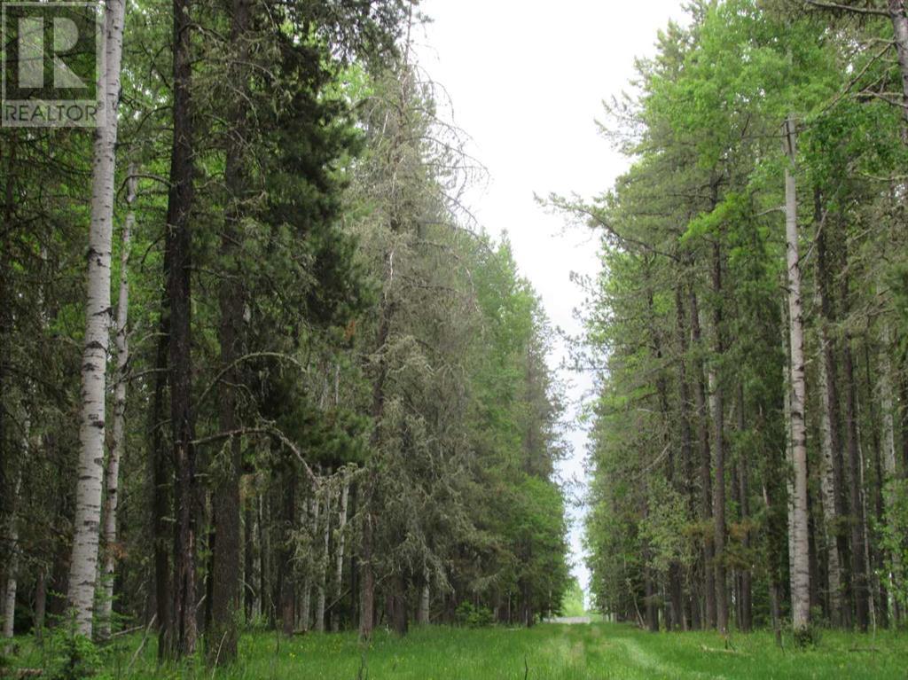 Cow Creek Road, Rural Clearwater County, Alberta  T4T 2A2 - Photo 9 - A2110652