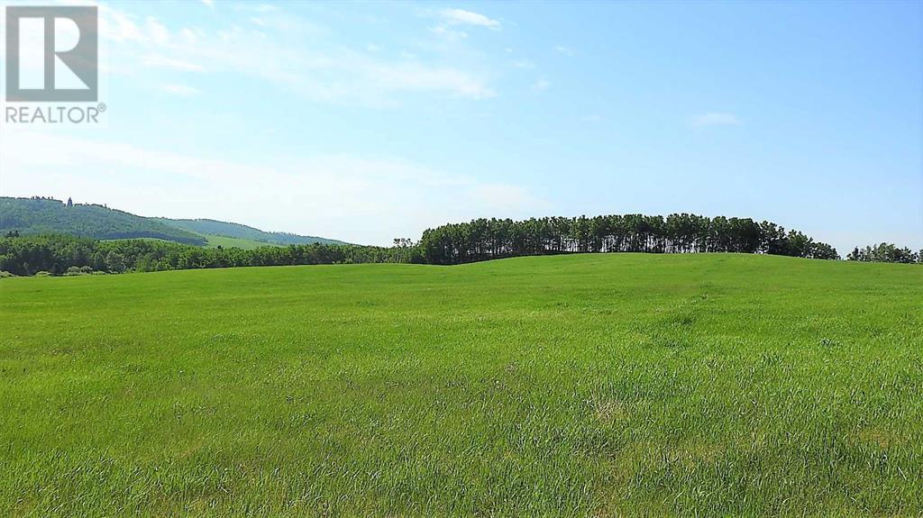 79.41 Acres Se-13-22-3w5, Rural Foothills County, Alberta T1S 2T7 - Photo 25 - A2057428