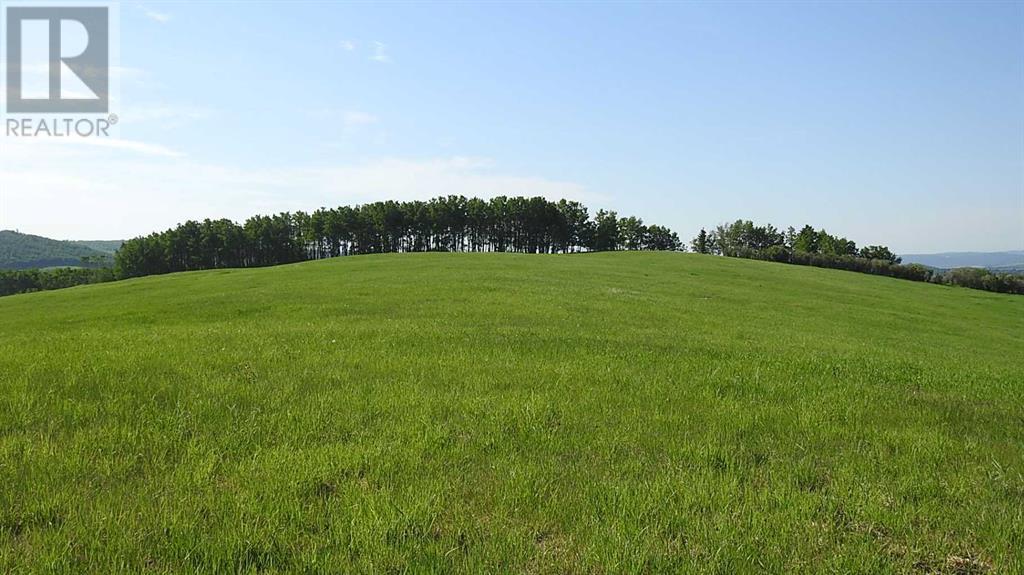 79.41 Acres Se-13-22-3w5, Rural Foothills County, Alberta T1S 2T7 - Photo 14 - A2057428