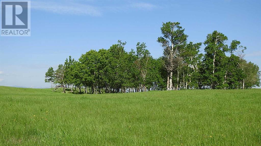 79.41 Acres Se-13-22-3w5, Rural Foothills County, Alberta T1S 2T7 - Photo 9 - A2057428