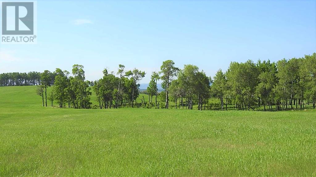 79.41 Acres Se-13-22-3w5, Rural Foothills County, Alberta T1S 2T7 - Photo 26 - A2057428