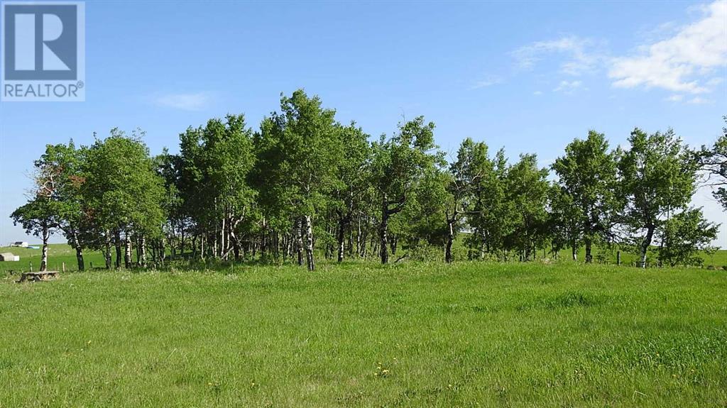 79.41 Acres Se-13-22-3w5, Rural Foothills County, Alberta T1S 2T7 - Photo 16 - A2057428