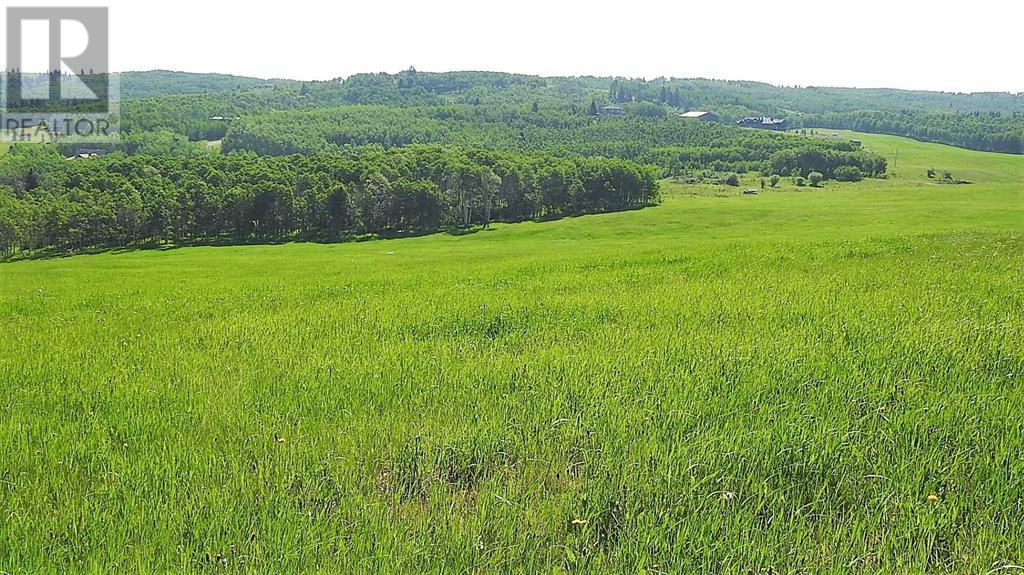 79.41 Acres Se-13-22-3w5, Rural Foothills County, Alberta T1S 2T7 - Photo 30 - A2057428