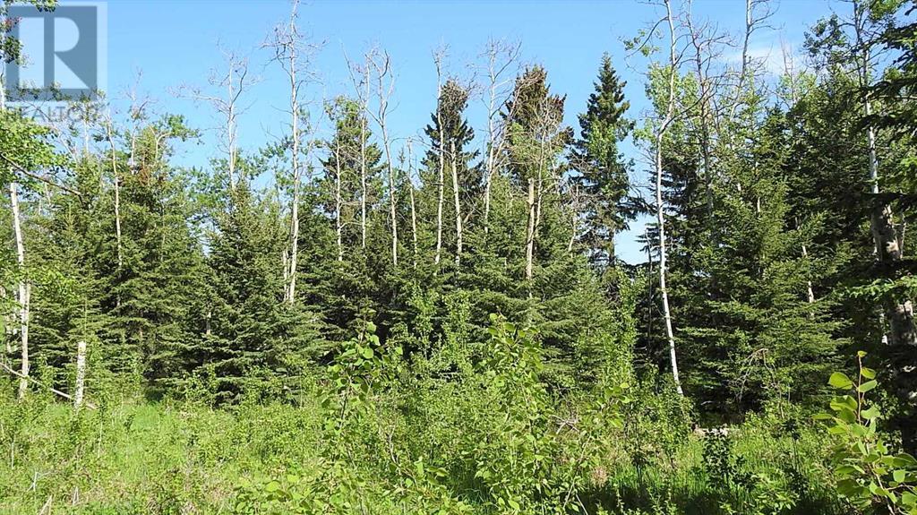 79.41 Acres Se-13-22-3w5, Rural Foothills County, Alberta T1S 2T7 - Photo 36 - A2057428