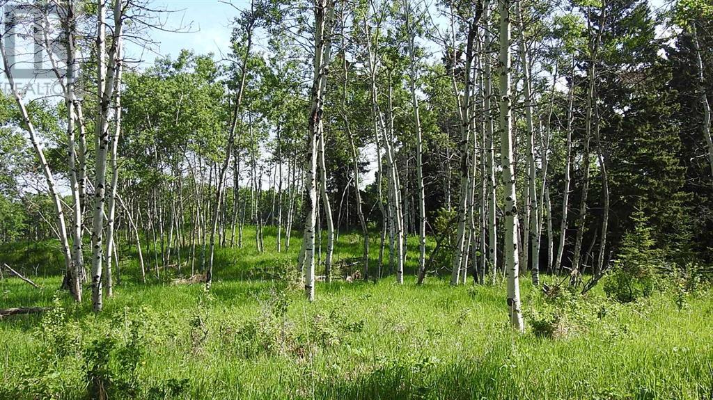 79.41 Acres Se-13-22-3w5, Rural Foothills County, Alberta T1S 2T7 - Photo 34 - A2057428