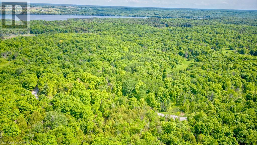 Lot 24 Lee Road, Westport, Ontario  K0G 1X0 - Photo 11 - 40603199