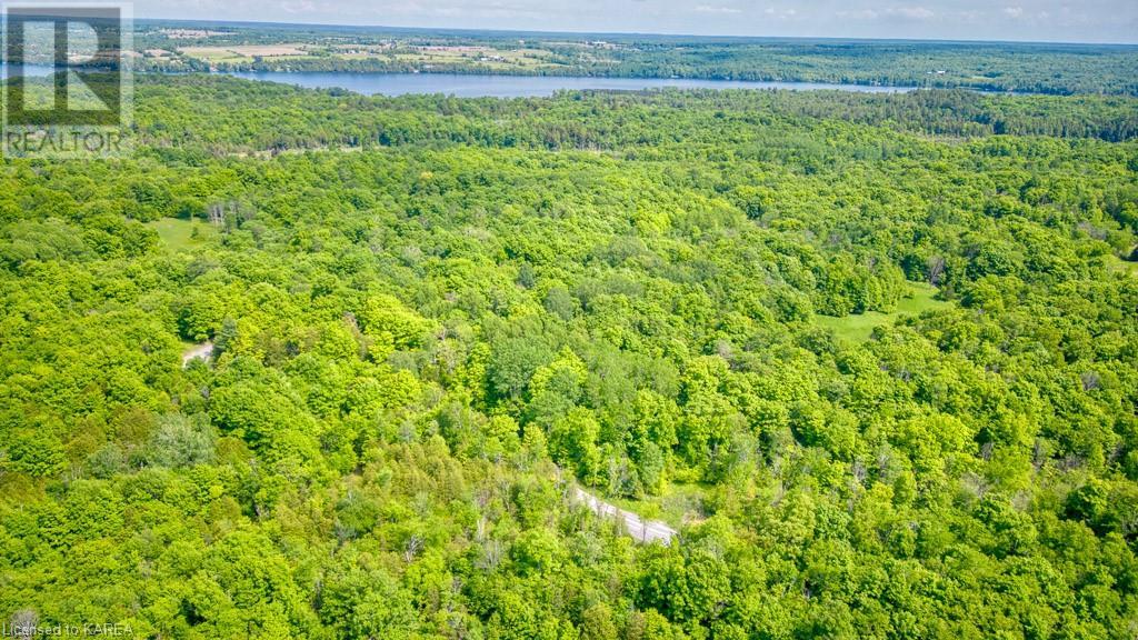 Lot 24 Lee Road, Westport, Ontario  K0G 1X0 - Photo 12 - 40603199