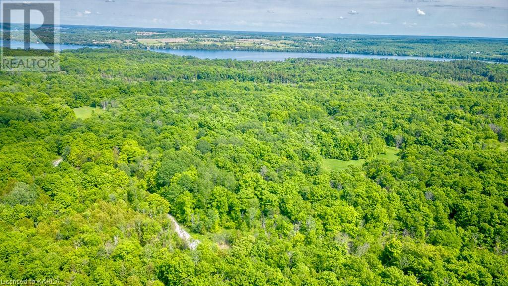 Lot 24 Lee Road, Westport, Ontario  K0G 1X0 - Photo 13 - 40603199