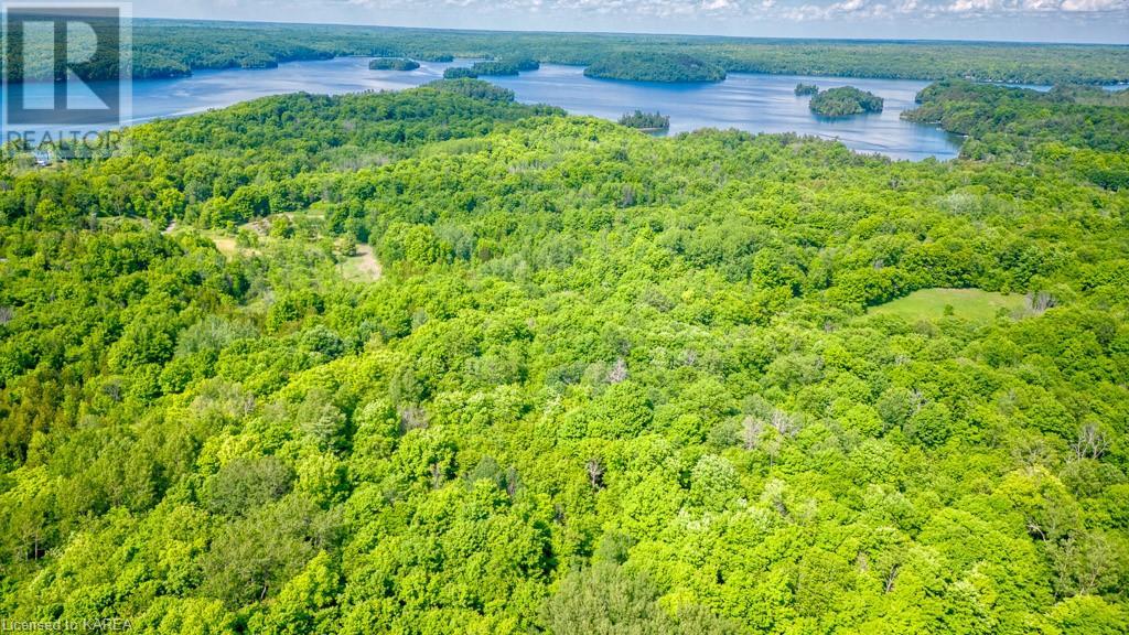 Lot 24 Lee Road, Westport, Ontario  K0G 1X0 - Photo 15 - 40603199