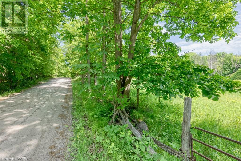 Lot 24 Lee Road, Westport, Ontario  K0G 1X0 - Photo 5 - 40603199