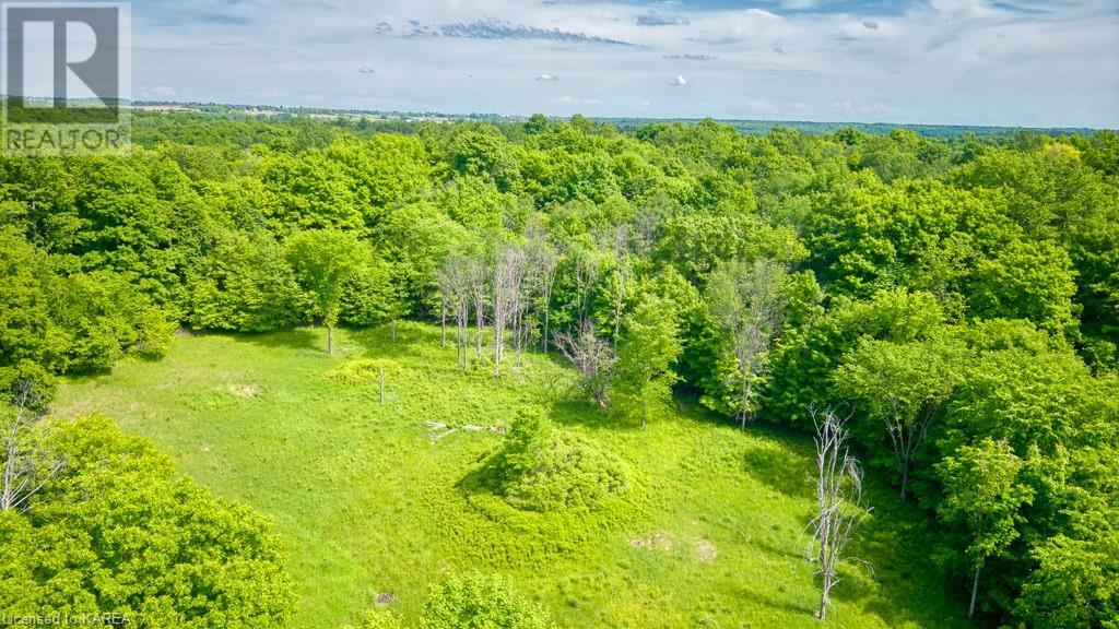 Lot 24 Lee Road, Westport, Ontario  K0G 1X0 - Photo 7 - 40603199