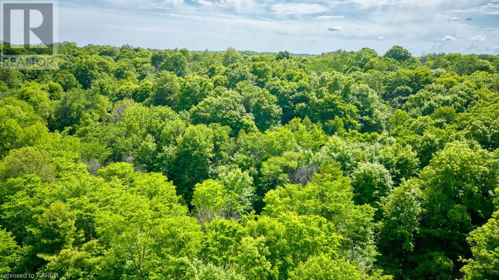Lot 24 Lee Road, Westport, Ontario  K0G 1X0 - Photo 8 - 40603199