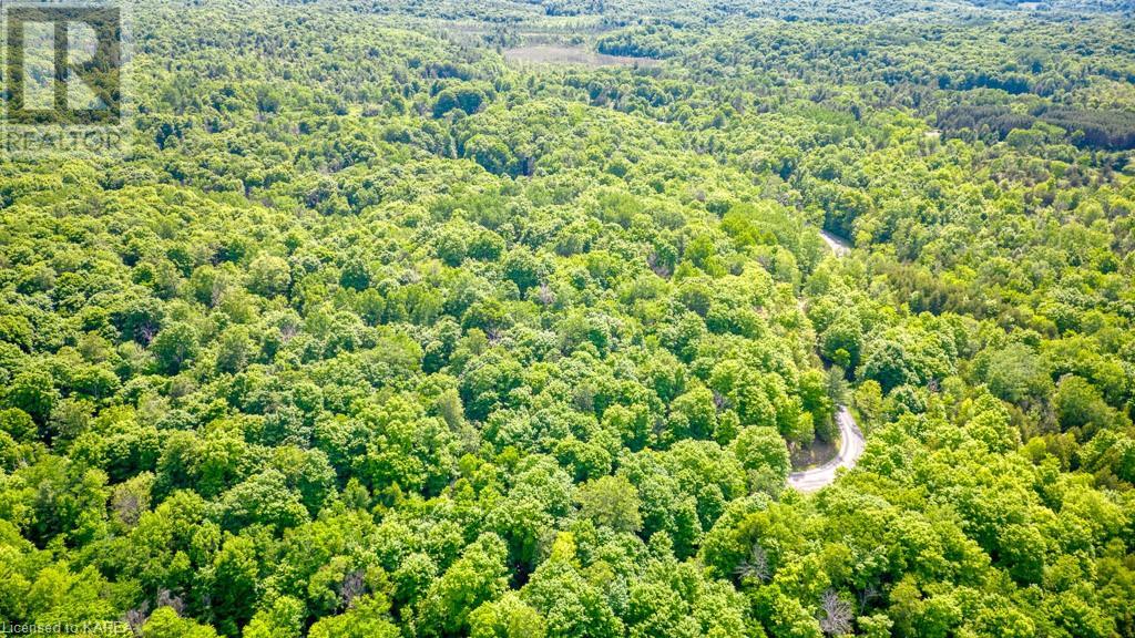 Lot 24 Lee Road, Westport, Ontario  K0G 1X0 - Photo 9 - 40603199
