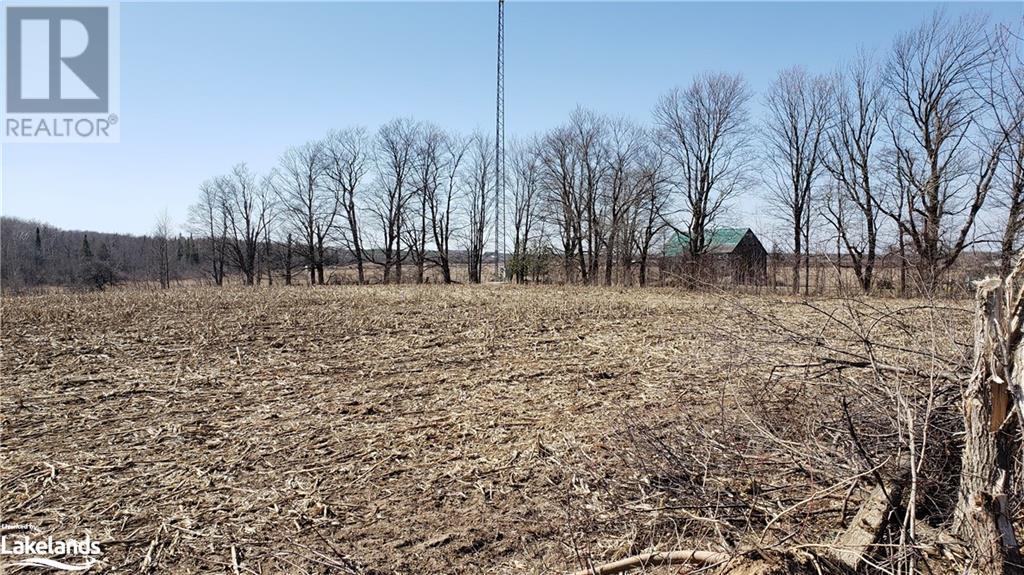 26565 89 Highway, Proton Twp, Ontario  N0C 1B0 - Photo 5 - 40604872