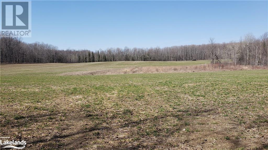 26565 89 Highway, Proton Twp, Ontario  N0C 1B0 - Photo 6 - 40604872