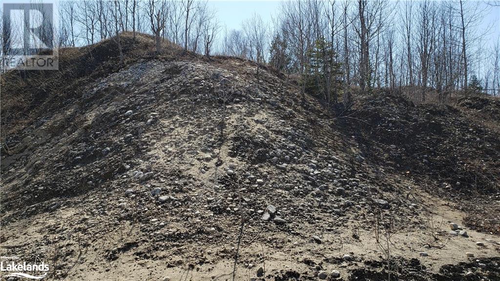 26565 89 Highway, Proton Twp, Ontario  N0C 1B0 - Photo 7 - 40604872