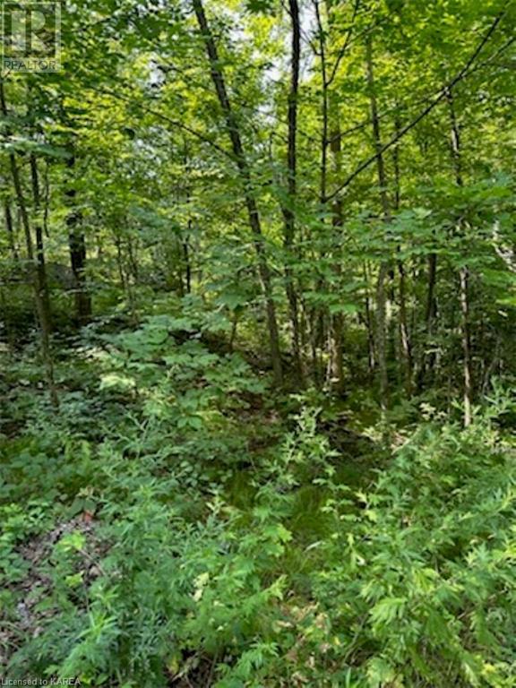 Pt Lt 24 Con 3 Maple Grove Crescent, Tichborne, Ontario  K0H 1V0 - Photo 2 - 40605421