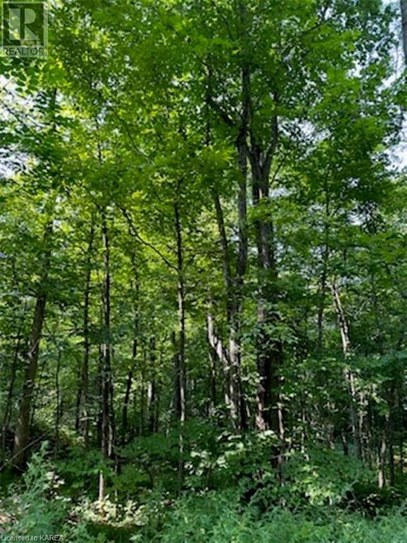 Pt Lt 24 Con 3 Maple Grove Crescent, Tichborne, Ontario  K0H 1V0 - Photo 3 - 40605421