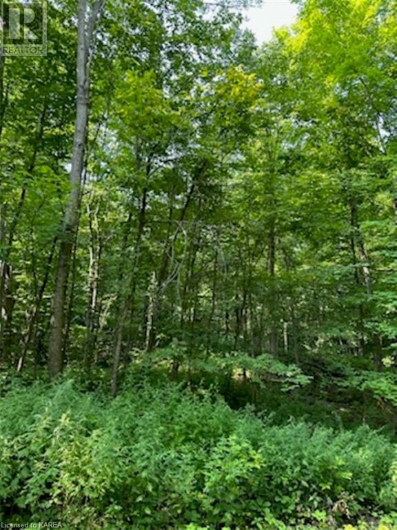 Pt Lt 24 Con 3 Maple Grove Crescent, Tichborne, Ontario  K0H 1V0 - Photo 4 - 40605421