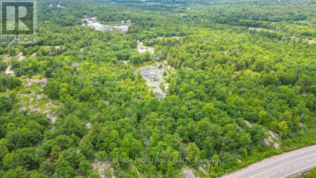 10450b Highway 41, Addington Highlands, Ontario  K0K 1Z0 - Photo 6 - X8370092