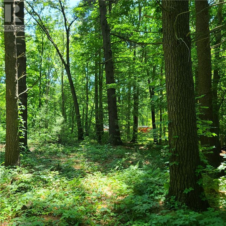 33 Ross Crescent, Gilbertville, Ontario  N4B 1A5 - Photo 10 - 40600741