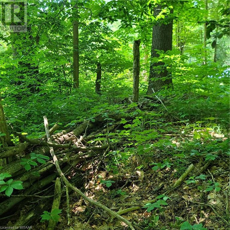 33 Ross Crescent, Gilbertville, Ontario  N4B 1A5 - Photo 7 - 40600741